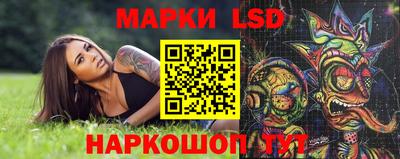 гидра Гатчина
