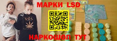 гидра Гатчина