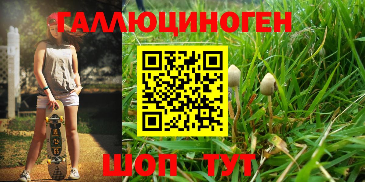 Псилоцибиновые грибы MAGIC MUSHROOMS  Вход с VPN  Димитровград 