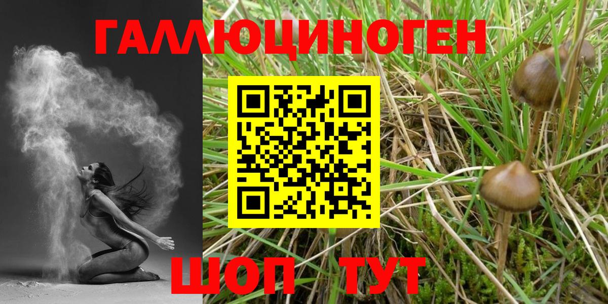 Галлюциногенные грибы MAGIC MUSHROOMS  Псилоцибиновые грибы мицелий  Димитровград 