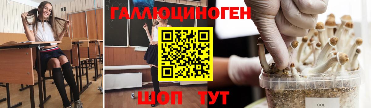 Галлюциногенные грибы Cubensis Димитровград
