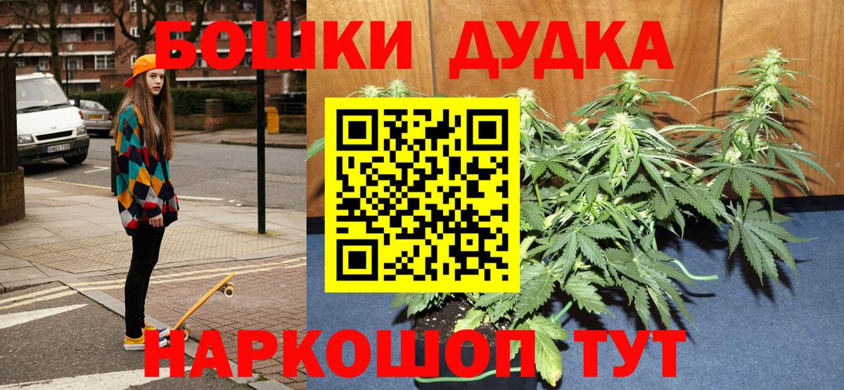 Канабис семена  Каннабис OG Kush  Димитровград  Вход с VPN  Конопля MAZAR 